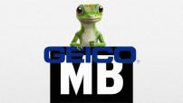 Geico