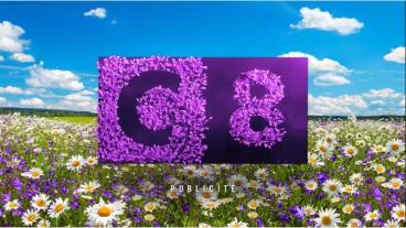 C8